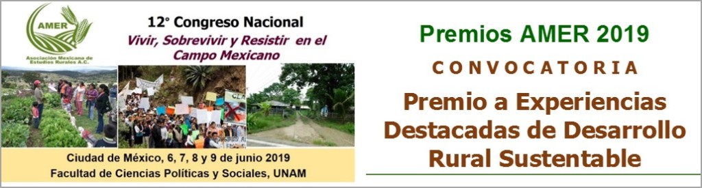 Premio experiencia destacada 2019