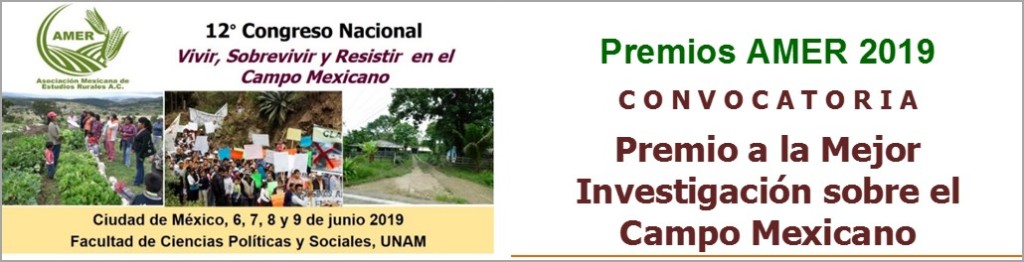 Premio mejor investigacion 2019